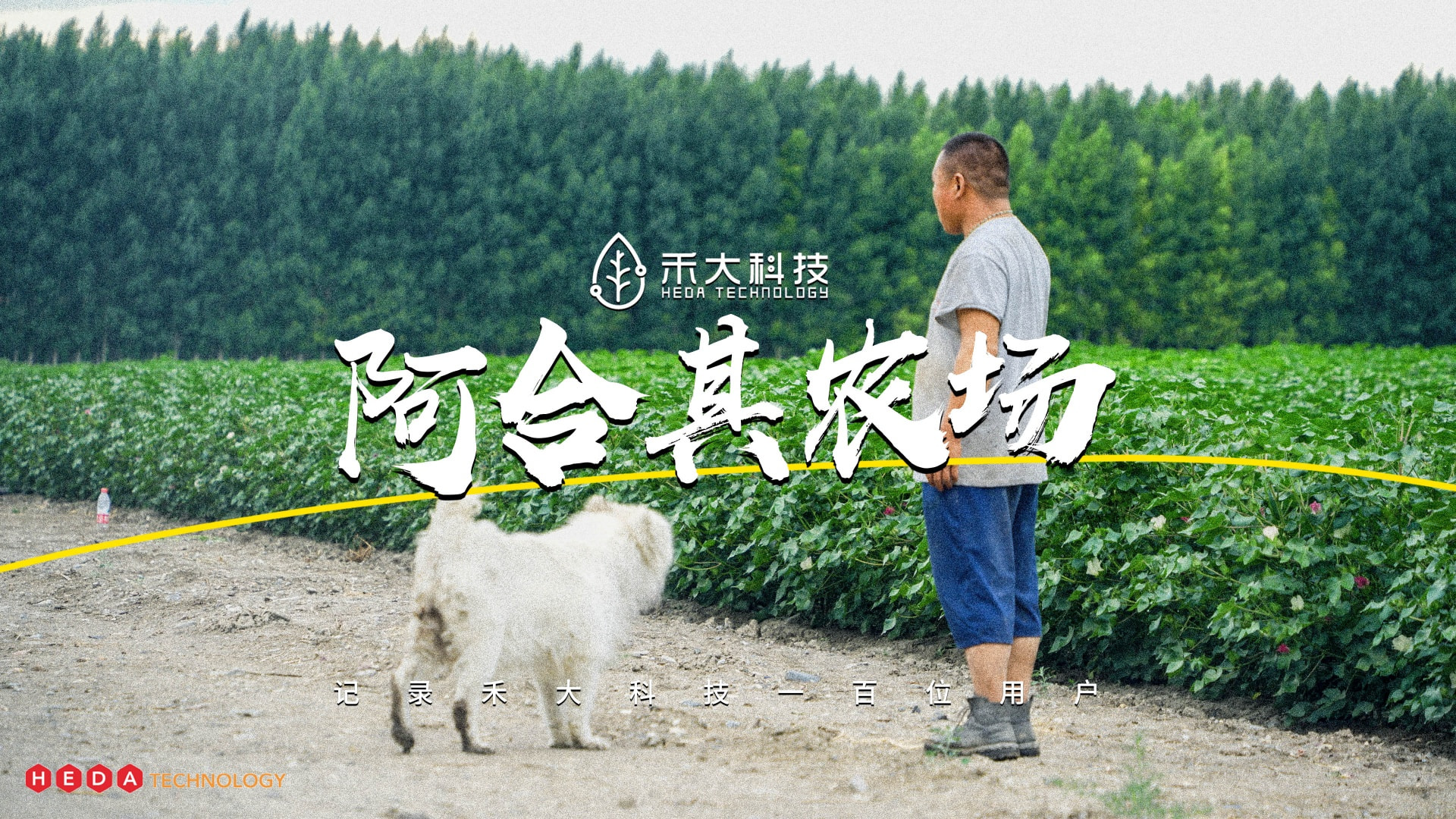 精河县阿合其农场