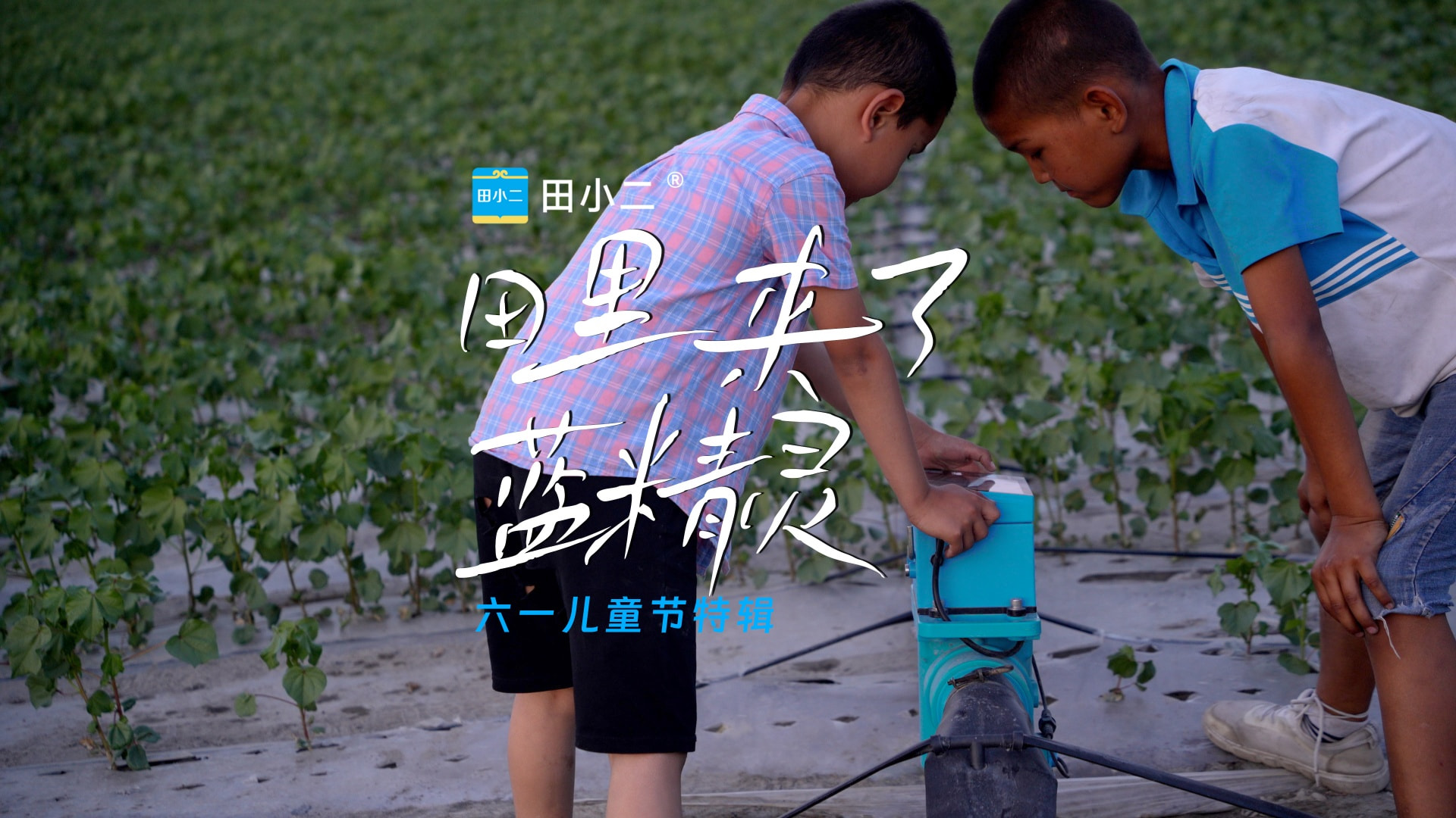 田里来了蓝精灵(儿童节特辑)